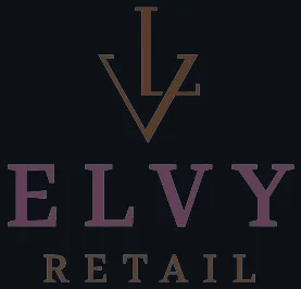 Elvy revolutionerar hushållsenergi med ny prenumerationstjänst och strategiska rekryteringar